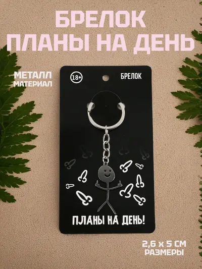 Брелок «Планы на день!», металл, 2,6×5 см, минималистичный дизайн, ироничный аксессуар для ключей, рюкзака, сумки